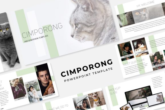 Cimporong: A Versatile Template for Polished Presentations