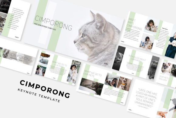 Cimporong Keynote Template: A Complete Design Toolkit