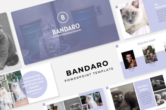 Streamline Your Workflow with the Bandaro Presentation Template